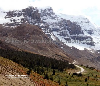 Alpine meadows near Athabasca Glacier (Columbia Icefield) north of Sunwapta Pass, Jasper National Park, Alberta, Icefields Parkway- Canadas most scenic mountain roadway